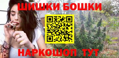 гашик Моздок