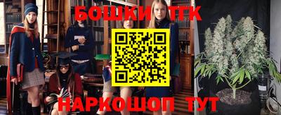 гашик Моздок