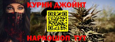 гашик Моздок
