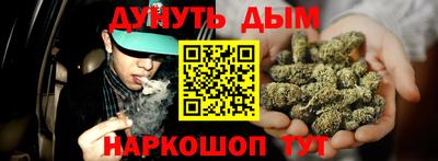гашик Моздок