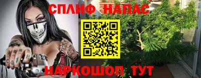 гашик Моздок