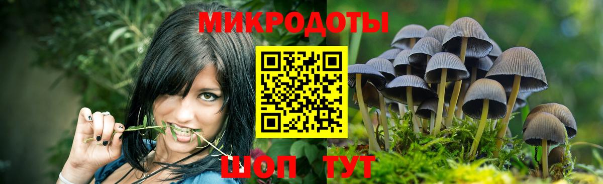 Галлюциногенные грибы Psilocybe Троицк