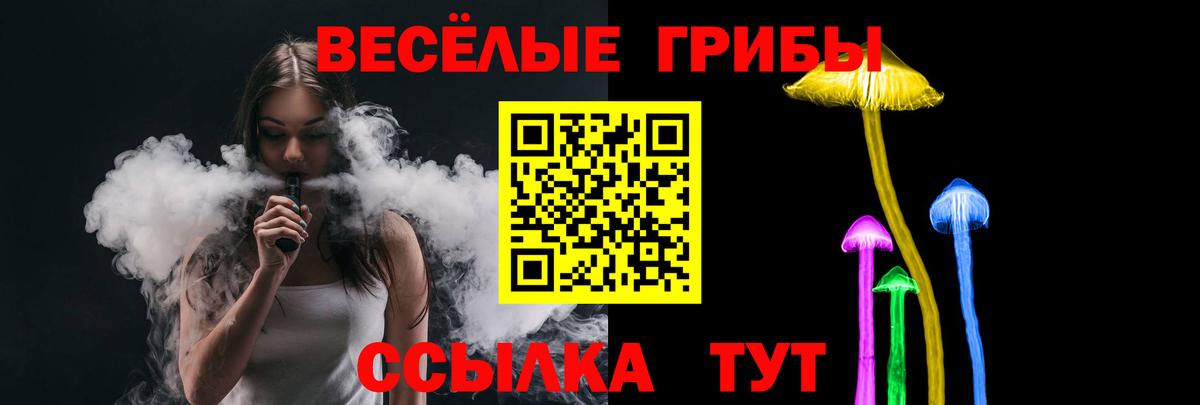 закладки  Галлюциногенные грибы MAGIC MUSHROOMS  Вход с VPN  Псилоцибиновые грибы ЛСД  Троицк 